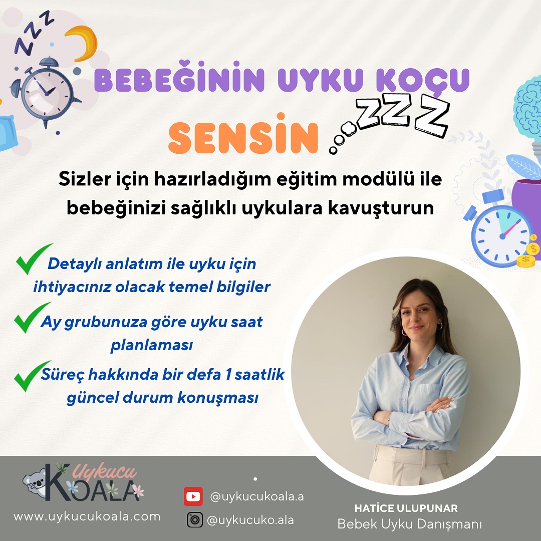 Uykucu Koala Danışmanlık